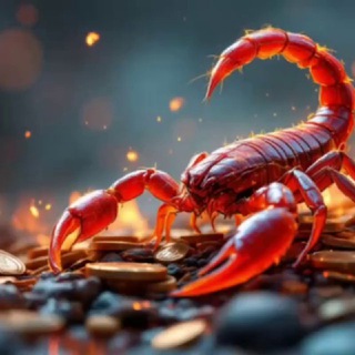 Telegram profile photo for Scorpion finder🦂