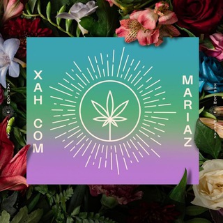 Telegram profile photo for 🌺🌱🌸💐Xah com Mariaz🌿💐