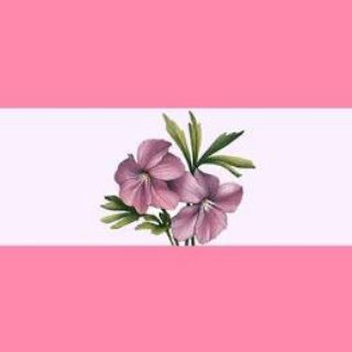 Telegram profile photo for Livros Sáficos