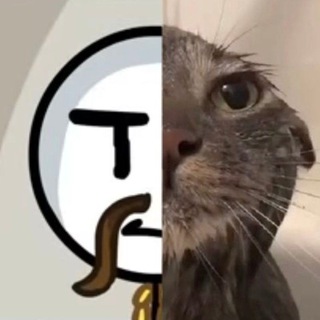 Telegram profile photo for Answers