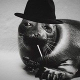 Telegram profile photo for Мафа