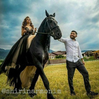 Telegram profile photo for Собир