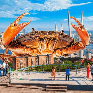 Telegram profile photo for Владивосток | Дальний восток | Новости