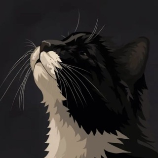 Telegram profile photo for че