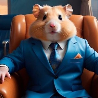 Telegram profile photo for Hamster Kombat Official