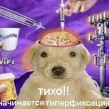 Telegram profile photo for π° divine memes π°π§π»ββοΈπΏπ