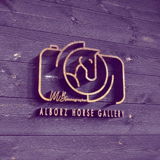 Telegram profile photo for Alborz Horse Gallery
