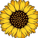 Telegram profile photo for SunFlower VietNam Channel