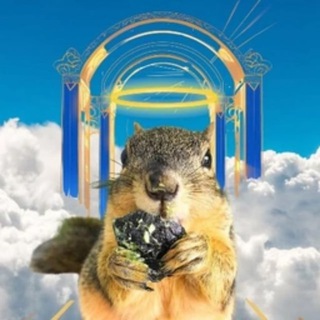Telegram profile photo for Pnut's Sister