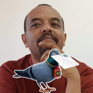 Telegram profile photo for Zemedkun Bekele የዘመዴ ወፎች 🦅