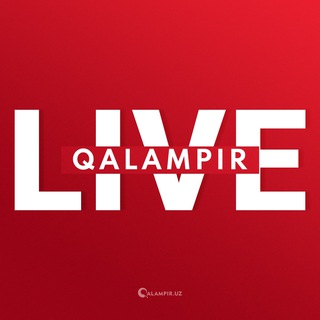 Telegram profile photo for Qalampir LIVE