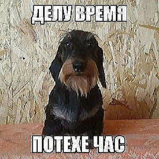 Telegram profile photo for позор климовска