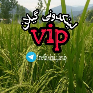 Telegram profile photo for 💚لینکدونی گیلان vip💚