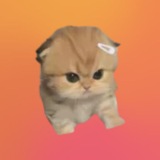 Telegram profile photo for Soon