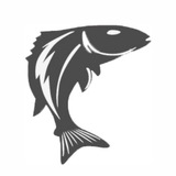 Telegram profile photo for FishingJournal