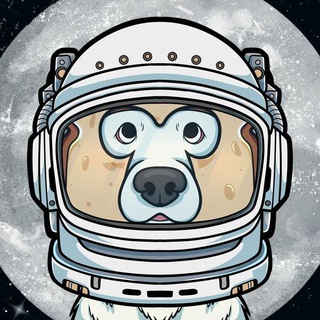 Telegram profile photo for $BOGGY | Portal