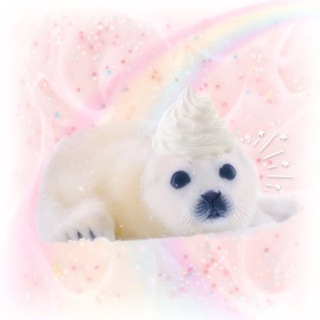 Telegram profile photo for ポリーがアザラシ