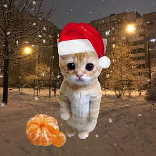 Telegram profile photo for тот самый автор🩷