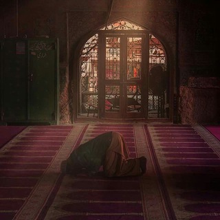 Telegram profile photo for الصُحبة الصالحة