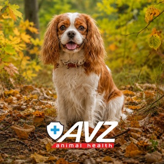 Telegram profile photo for АВЗ - производитель ветеринарных препаратов
