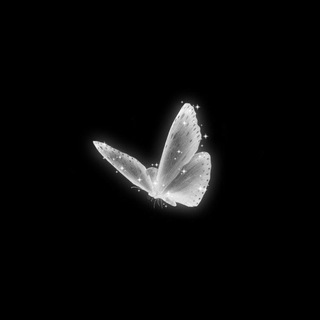 Telegram profile photo for يـومـاً مـا 𓏲 ֶֶָָ֢