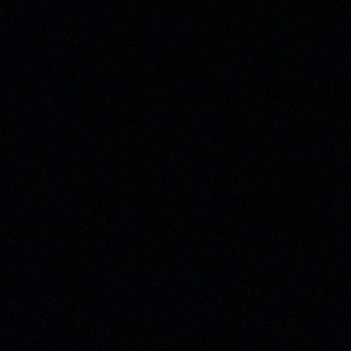 Telegram profile photo for whiplash