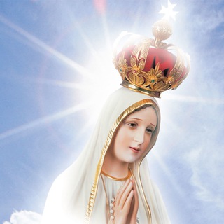 Telegram profile photo for Catholic Resistance