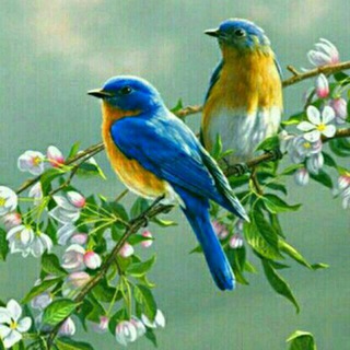 Telegram profile photo for ﷽معجزات ذکرهای معنوی همراه با ذکرهای رزق وروزی حلال و اطلاعات عمومی ﷽