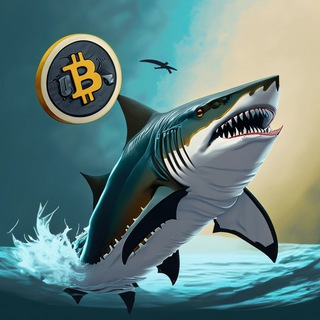 Telegram profile photo for Shark Crypto