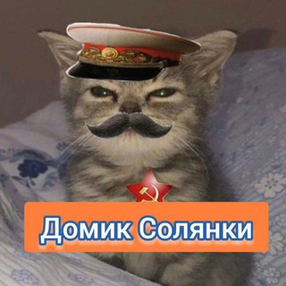 Telegram profile photo for Домик Солянки