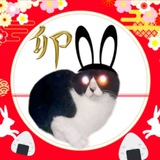 Telegram profile photo for ONIGIRI USAGI $OSAGI