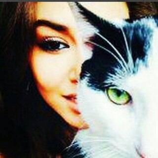 Telegram profile photo for بیوگرافی انگلیسی