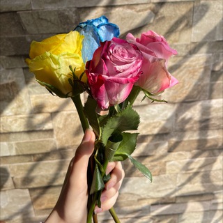 Telegram profile photo for فـاطِمـَة