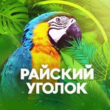 Telegram profile photo for Райский Уголок🦜