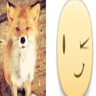 Telegram profile photo for ๐๐๐๐๐ก๐๐จ๐จ ๐๐จ ๐ค๐ฃ ๐ฉ๐๐ ๐ก๐๐ฃ๐