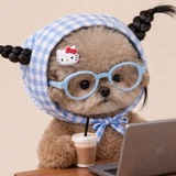 Telegram profile photo for домик мальтипу
