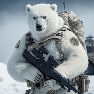 Telegram profile photo for Archieve Military