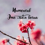 Telegram profile photo for Это Моя Весна🌸