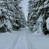 Telegram profile photo for Александр