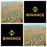 Telegram profile photo for Trade education (zolan)