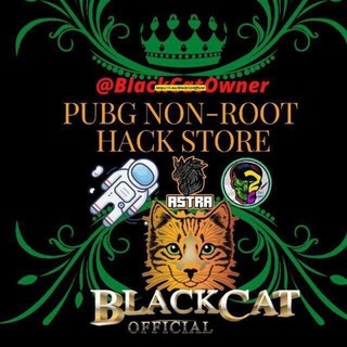 Telegram profile photo for PUBG NON-ROOT HACK SHOP