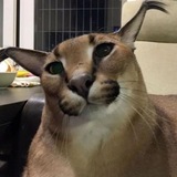 Telegram profile photo for хейт confession