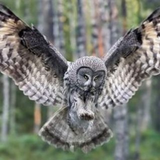 Telegram profile photo for Сказкотерапия