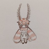 Telegram profile photo for ⁀➴INU