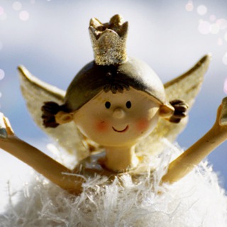 Telegram profile photo for Sandra's Engellicht