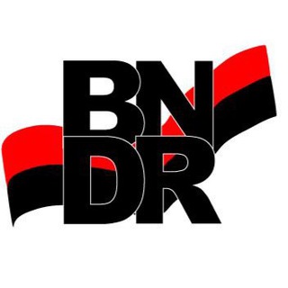 Telegram profile photo for BNDR Coin