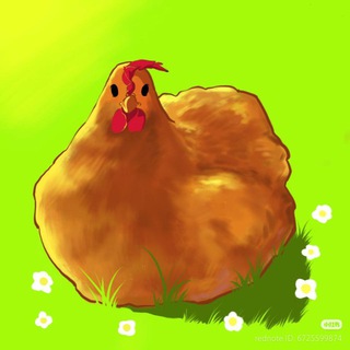 Telegram profile photo for chicken's chronicles 🐔