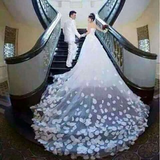 Telegram profile photo for مدل عروس پاریس