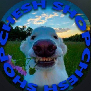 Telegram profile photo for FAQ Chesh_Shop