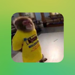 Telegram profile photo for CEK LIMBUS (open pp kalau mood)